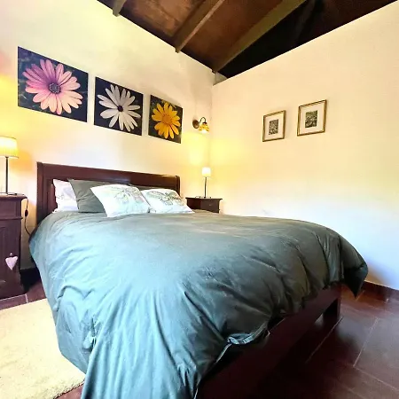 Rural House With Wifi, Private Pool, View Of The Atlantic And Mount Teide Dom wakacyjny *
